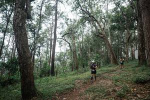 BIB: 
                            <button type="button" onclick="openModal(22795363)" class="btn btn-primary btn-sm float-right btn-popup" data-toggle="modal" data-target=".modal-high-quality">
                        <i class="fas fa-shopping-cart"></i> Add to Cart
                    </button>
                                            <button type="button" onclick="isThisMe(22795363, true)" class="btn btn-success btn-sm float-right btn-popup btn-isme hidden" data-toggle="tooltip" data-placement="bottom" title="นี่คือรูปของคุณใช่ไหม คลิกที่นี่เพื่อเอาเข้าอัลบั้ม">
                        <i class="fas fa-plus"></i> Add to album
                    </button>
                    <button type="button" onclick="isThisMe(22795363, false)" class="btn btn-warning btn-sm float-right btn-popup btn-isnotme hidden">
                        <i class="fas fa-ban"></i> Remove from album
                    </button>